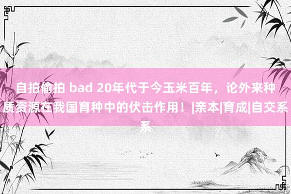 自拍偷拍 bad 20年代于今玉米百年，论外来种质资源在我国育种中的伏击作用！|亲本|育成|自交系