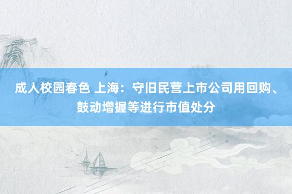 成人校园春色 上海：守旧民营上市公司用回购、鼓动增握等进行市值处分