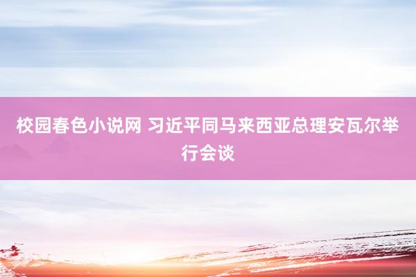 校园春色小说网 习近平同马来西亚总理安瓦尔举行会谈