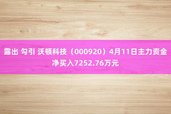 露出 勾引 沃顿科技（000920）4月11日主力资金净买入7252.76万元