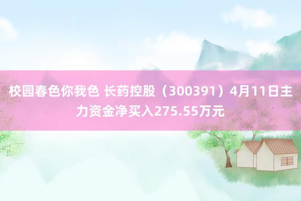 校园春色你我色 长药控股（300391）4月11日主力资金净买入275.55万元