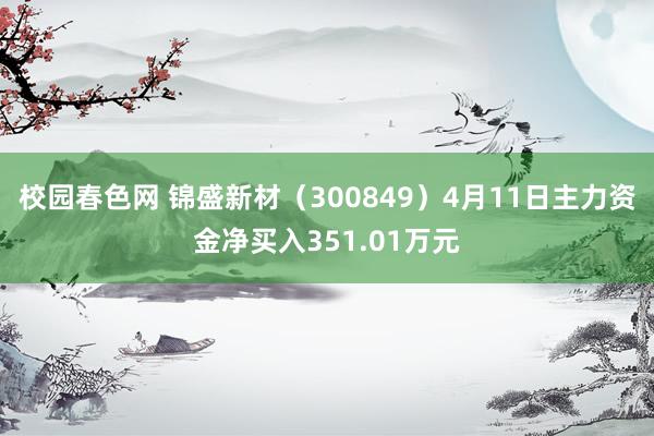 校园春色网 锦盛新材（300849）4月11日主力资金净买入351.01万元