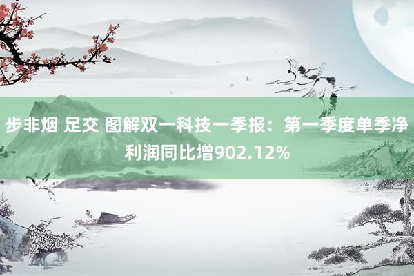 步非烟 足交 图解双一科技一季报：第一季度单季净利润同比增902.12%