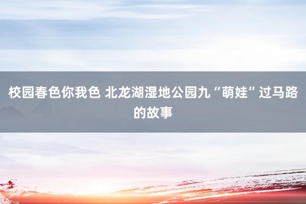 校园春色你我色 北龙湖湿地公园九“萌娃”过马路的故事