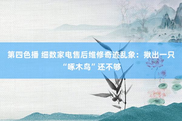 第四色播 细数家电售后维修奇迹乱象：揪出一只“啄木鸟”还不够