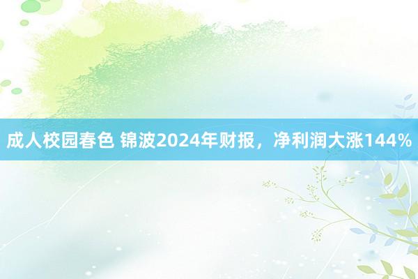 成人校园春色 锦波2024年财报，净利润大涨144%