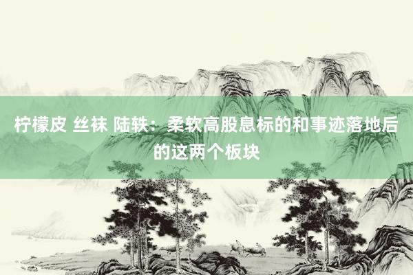 柠檬皮 丝袜 陆轶:柔软高股息标的和事迹落地后的这两个板块