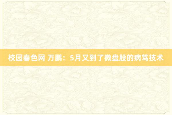 校园春色网 万鹏：5月又到了微盘股的病笃技术