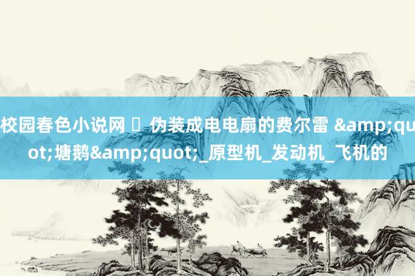校园春色小说网 ‌伪装成电电扇的费尔雷 &quot;塘鹅&quot;_原型机_发动机_飞机的