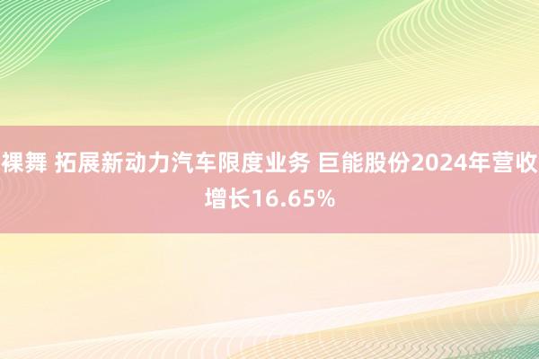 裸舞 拓展新动力汽车限度业务 巨能股份2024年营收增长16.65%