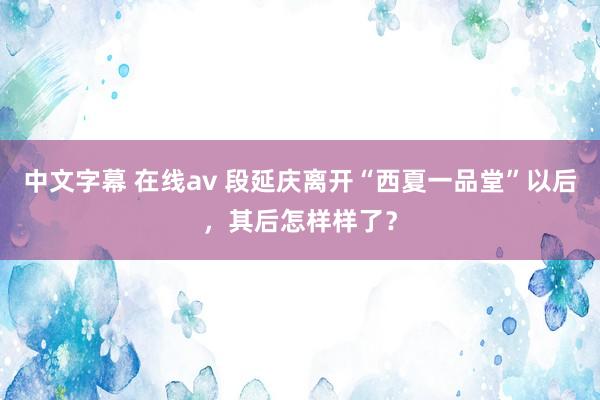 中文字幕 在线av 段延庆离开“西夏一品堂”以后，其后怎样样了？