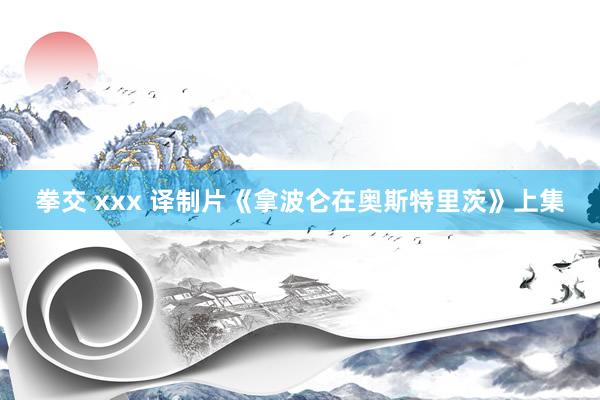 拳交 xxx 译制片《拿波仑在奥斯特里茨》上集